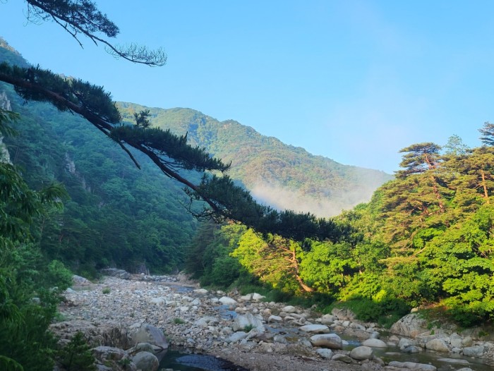 오색장군바위오토캠핑장 이미지 5
