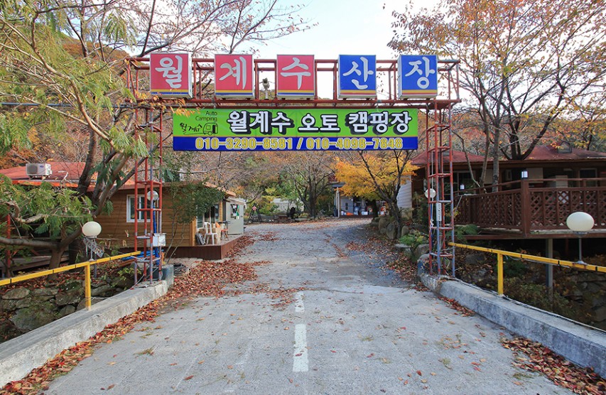 경주 월계수오토캠핑 이미지 1