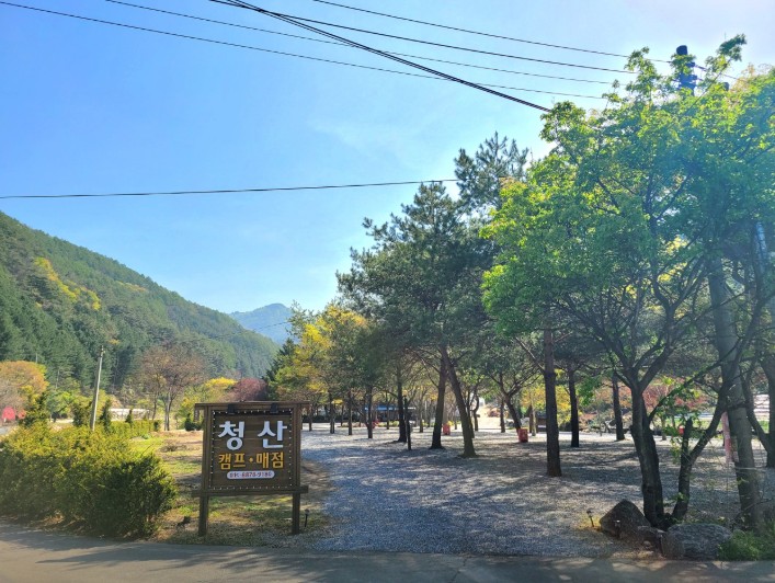 영월 청산캠프 이미지 1