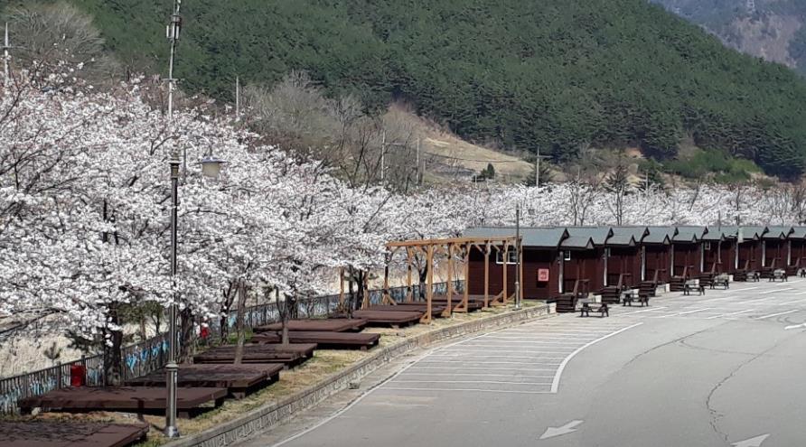 덕풍계곡 캠핑장 이미지 2