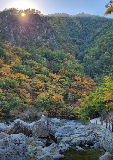 덕풍계곡 별빛야영장 이미지 2