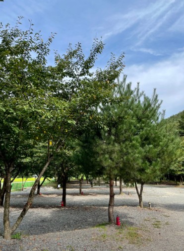 곤달비캠프 이미지 2