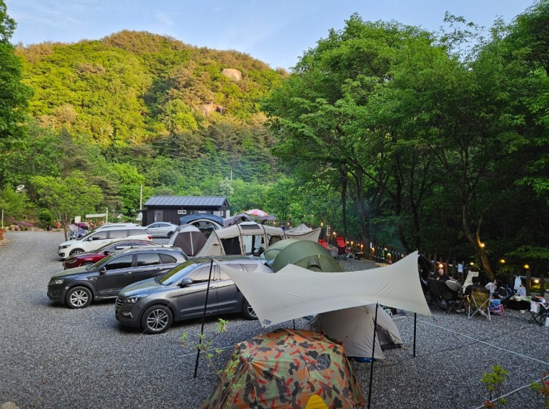 꿈을드림캠핑장 이미지 2