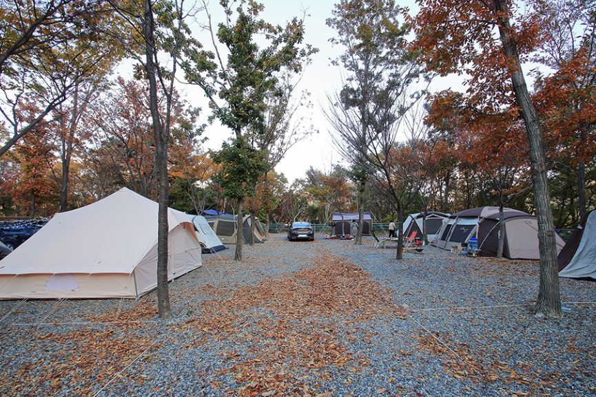 문복산캠핑장 이미지 2
