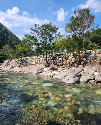 월악 아지트 캠핑장 이미지 7