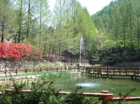 장태산자연휴양림 이미지 3