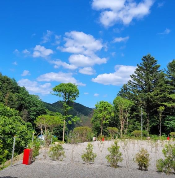 우니메이카 춘천점 이미지 2