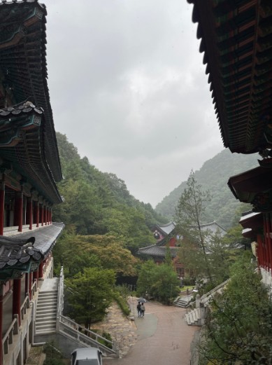 소선암오토캠핑장 이미지 4