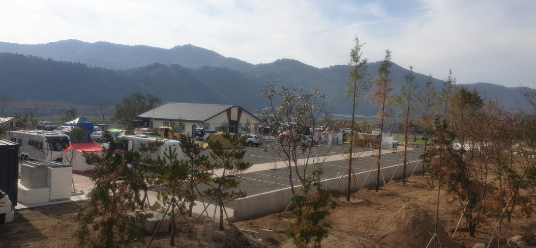 봄날처럼 이미지 6