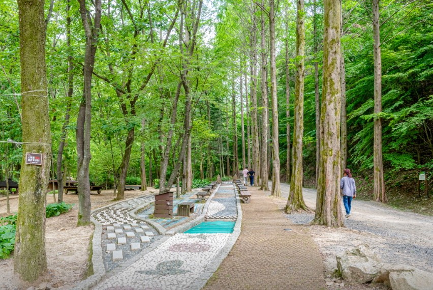 대전 꿈꾸는 농부 캠핑장 이미지 2