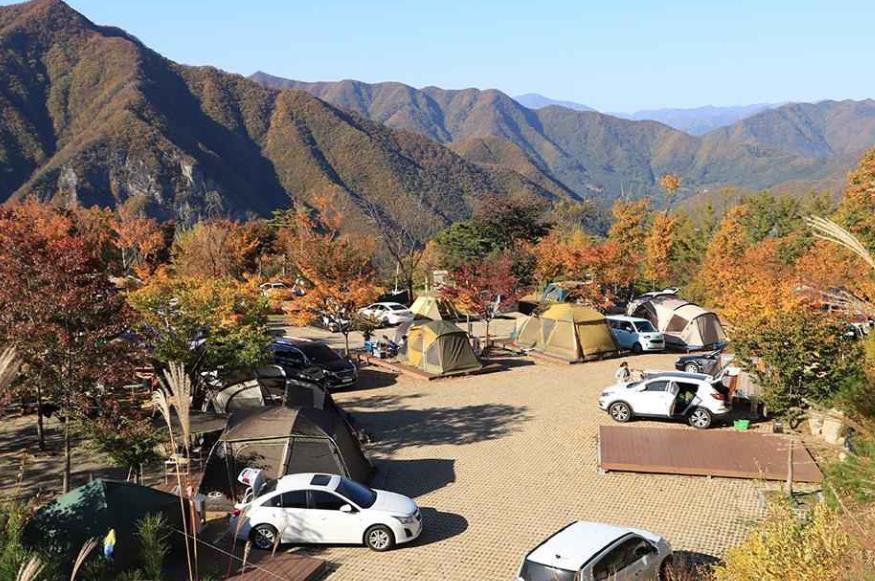 동강전망휴양림오토캠핑장 이미지 6