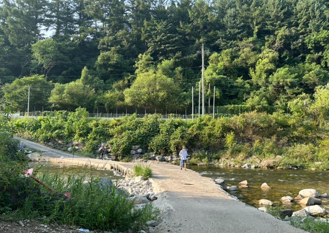 밤나무계곡오토캠핑장 이미지 1