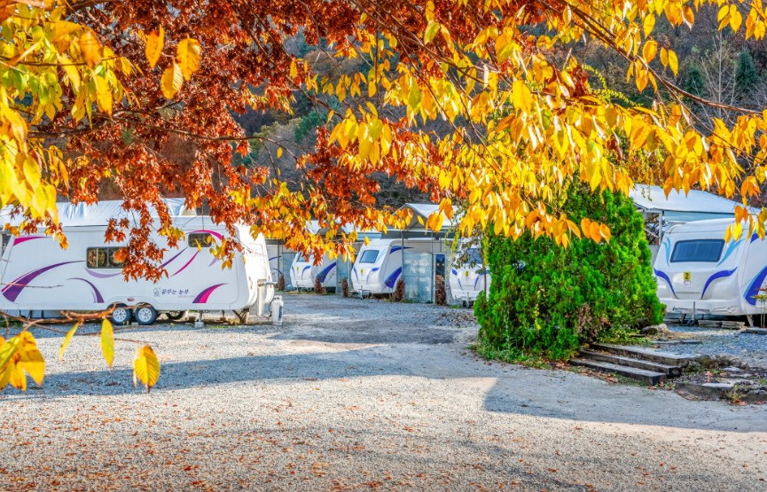 대전 꿈꾸는 농부 캠핑장 이미지 7