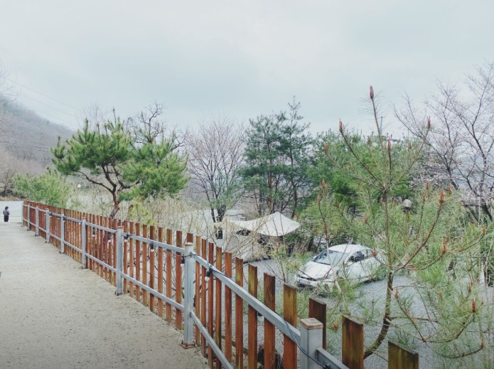 풍성채 캠핑장 이미지 6