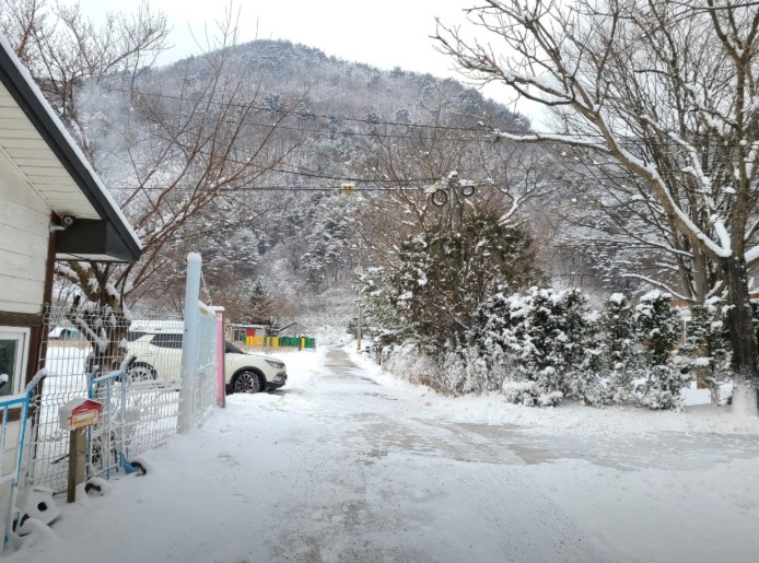 영월 남강캠프 이미지 4