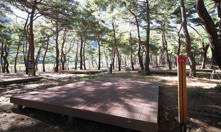 회동 솔향캠핑장 이미지 1