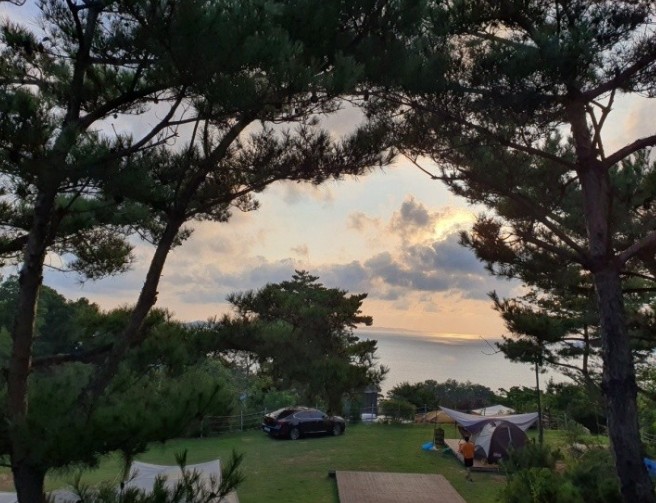 검디관광농원 캠핑장 이미지 5