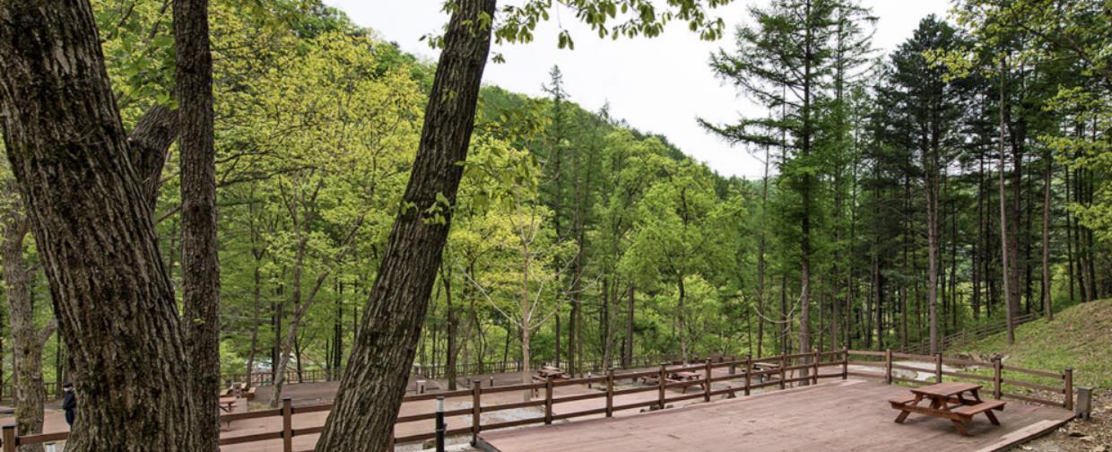 화천 만산동국민여가캠핑장 이미지 1