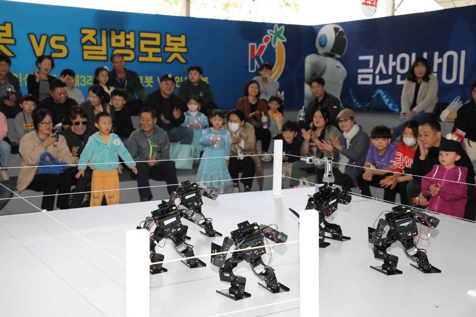 금산세계인삼축제 이미지 3