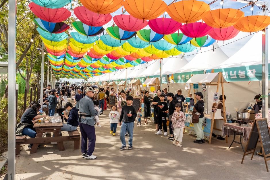 김제지평선축제 이미지 2