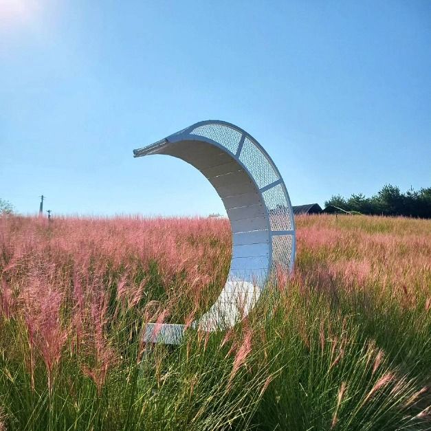 고창청농원 핑크뮬리축제 이미지 5