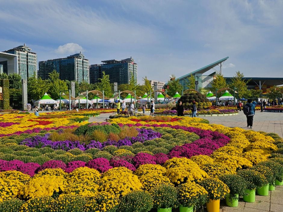 고양가을꽃축제 이미지 2