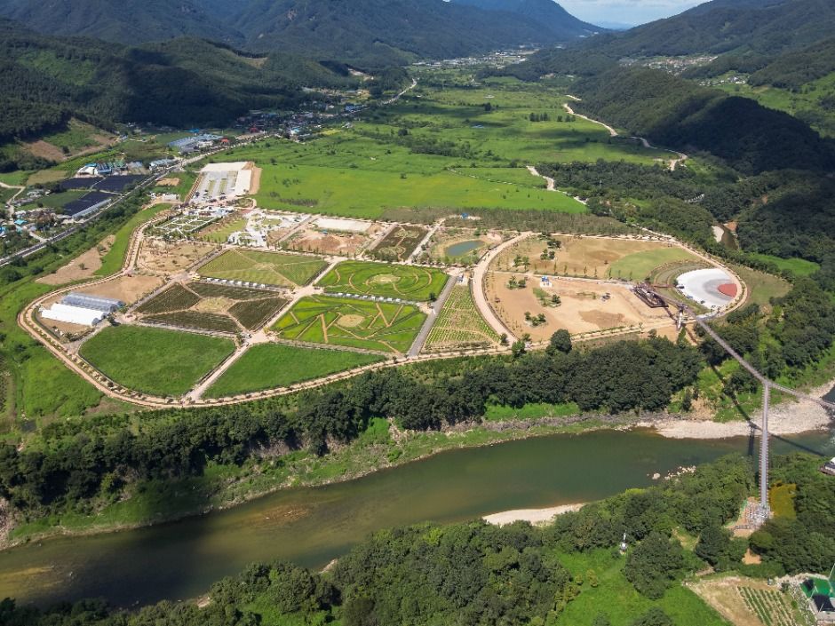 포천 한탄강 세계드론제전 이미지 3