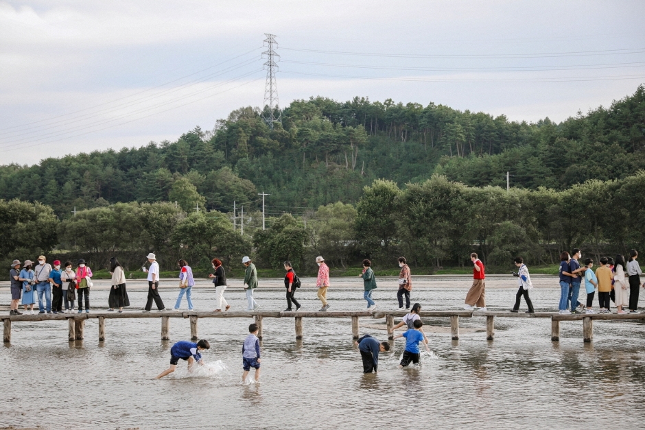 영주 무섬외나무다리축제 이미지 3