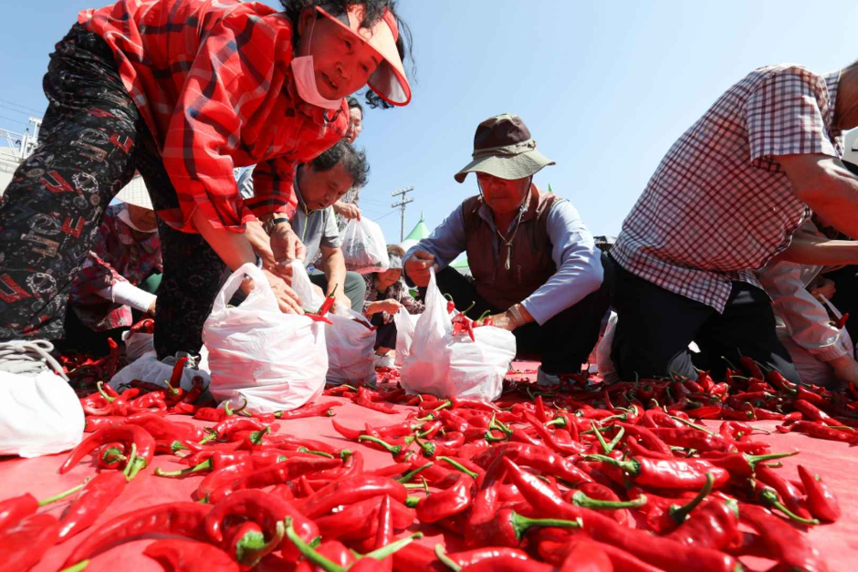 청양 고추 구기자 축제 이미지 7