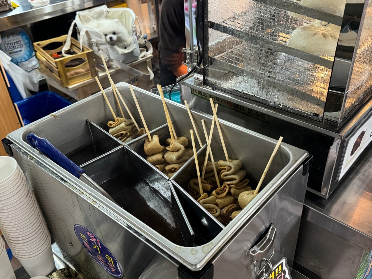 스피드존 이미지 12