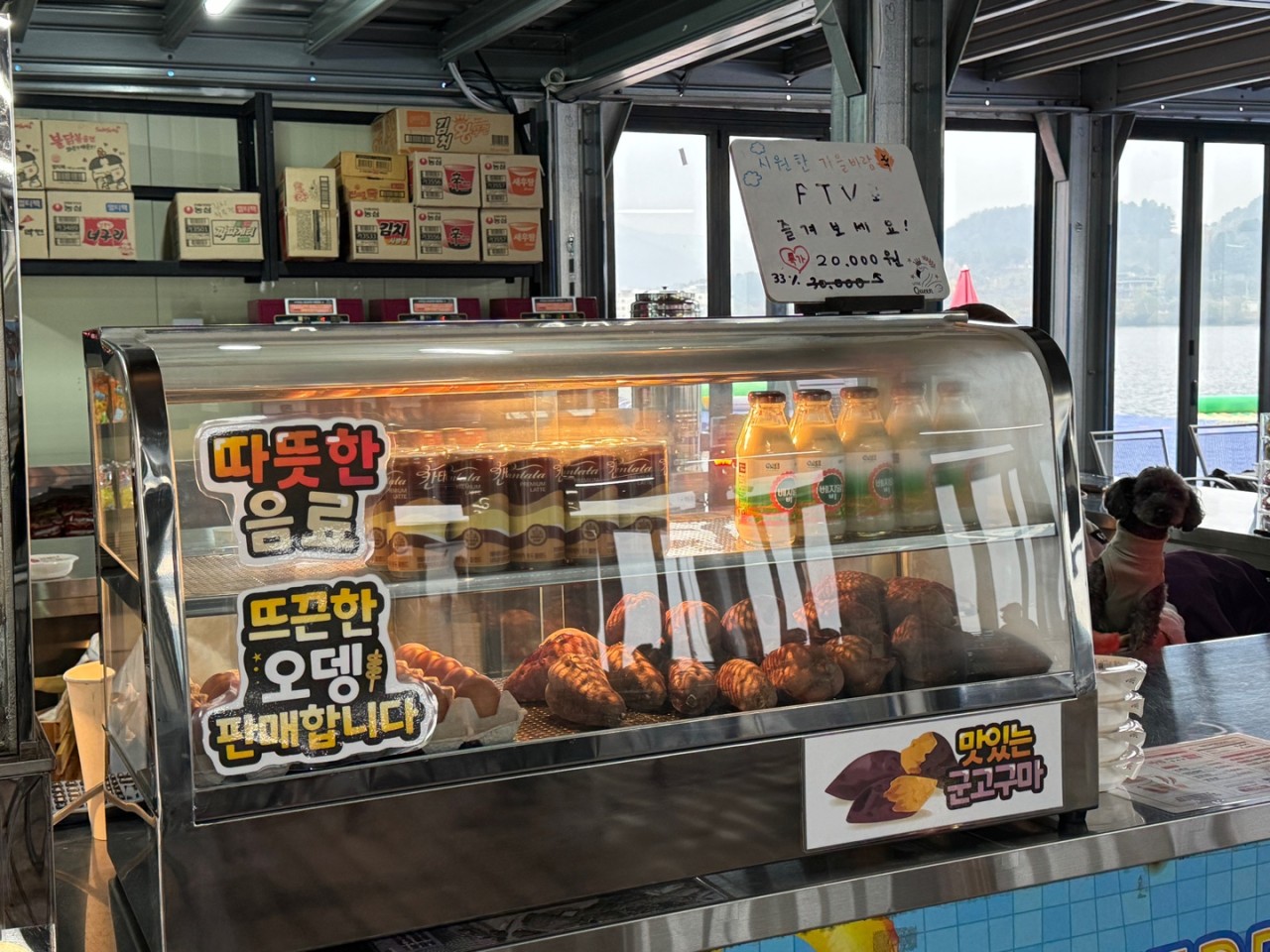 스피드존 이미지 13