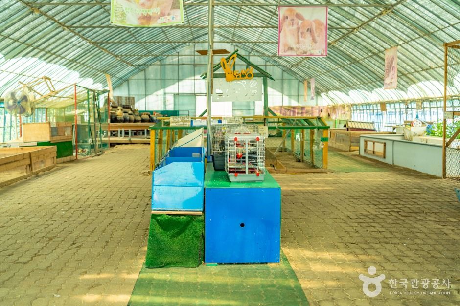 자연아놀자 체험학습박물관 이미지 6