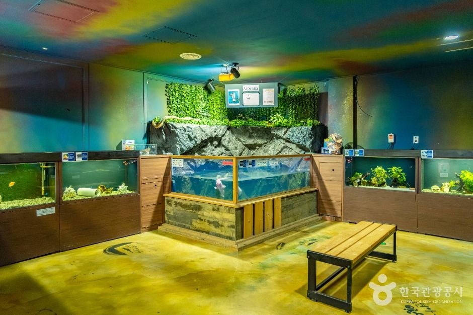 자연아놀자 체험학습박물관 이미지 8