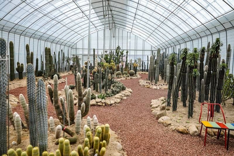 예술정원1999 이미지 4