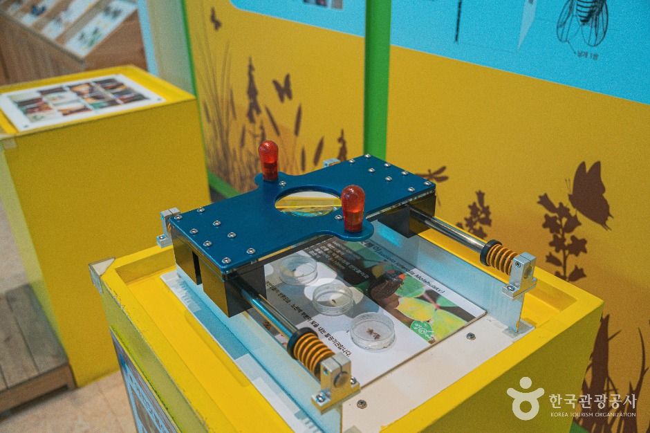 대전곤충생태관 이미지 4