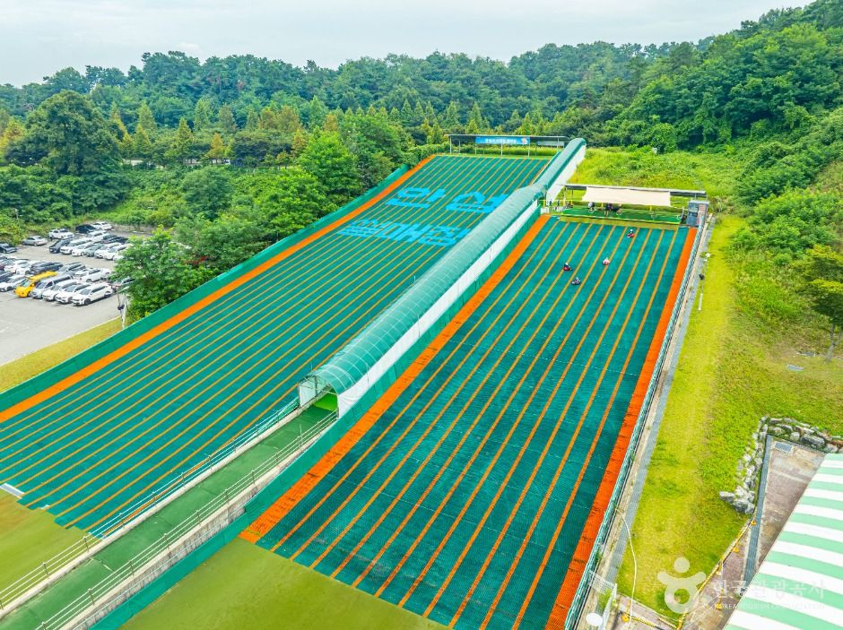 안성시 사계절썰매장 이미지 2