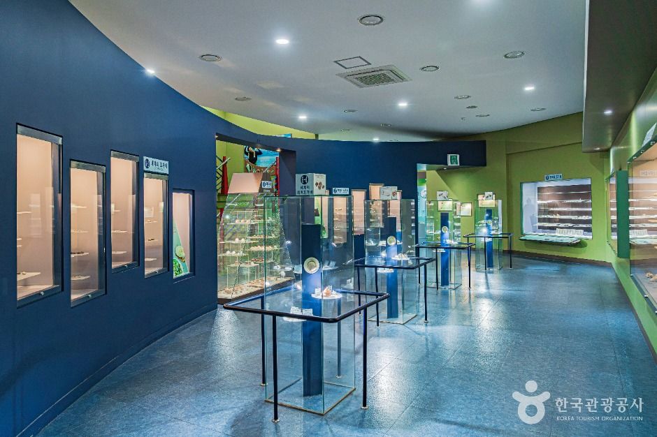 진도 해양생태관 이미지 3