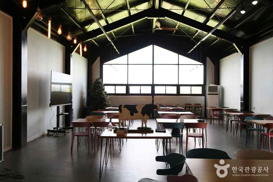 하동 해뜰목장 이미지 7