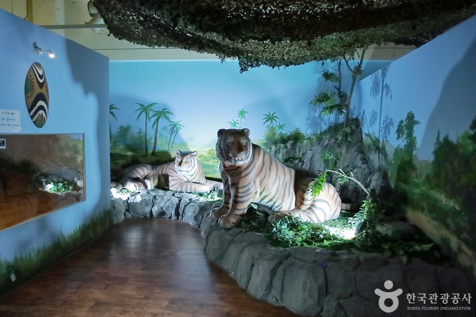 사파리 체험 테마파크 이미지 1