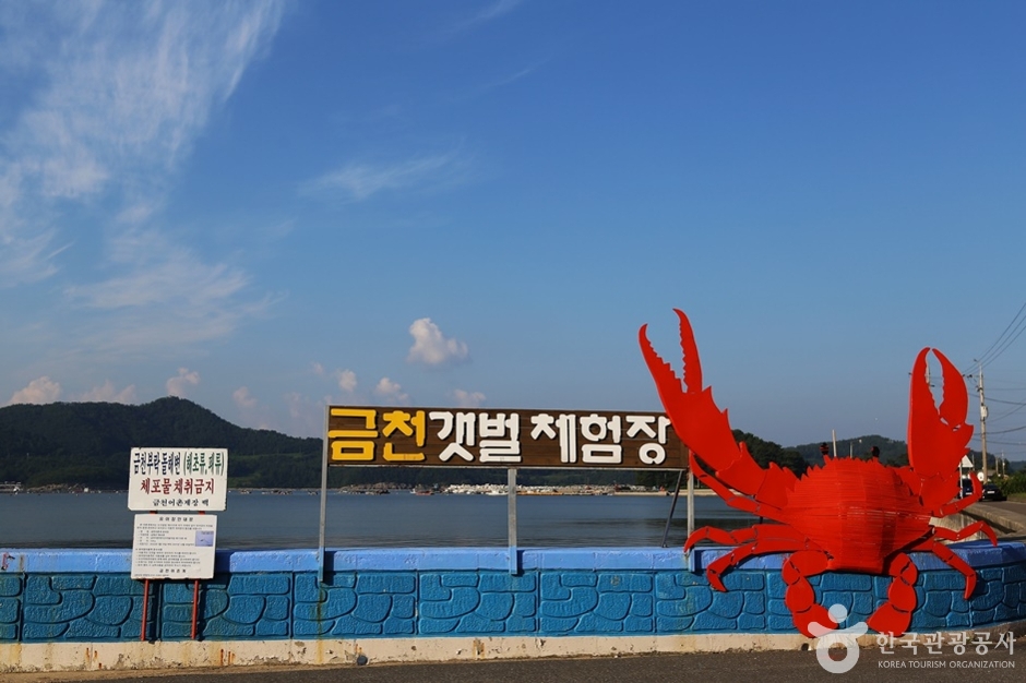 남해금천갯벌체험장 이미지 1