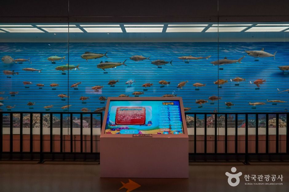 창원 해양생물테마파크 이미지 6