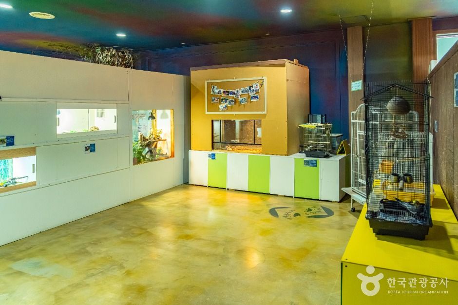 자연아놀자 체험학습박물관 이미지 2