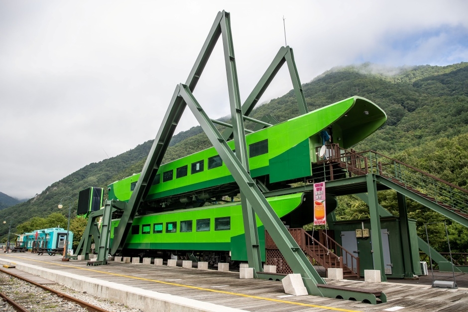 정선 레일바이크 이미지 7