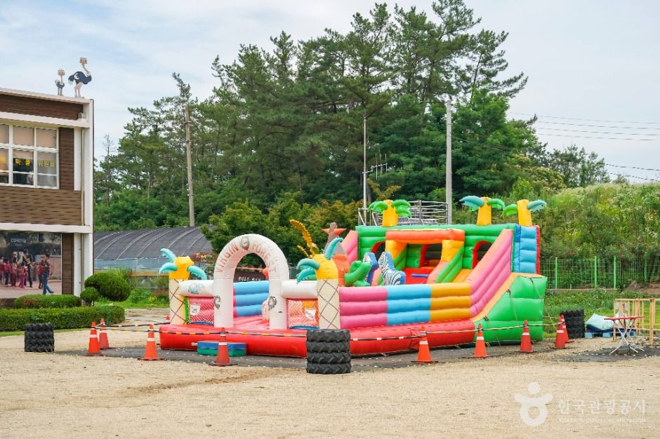 엄마 아빠 어렸을 적에 이미지 6