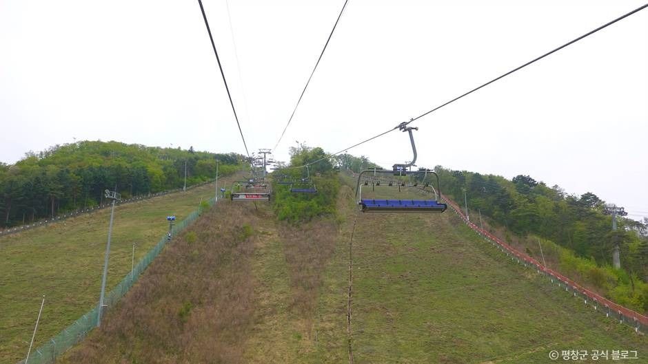 알펜시아 알파인코스터 이미지 2