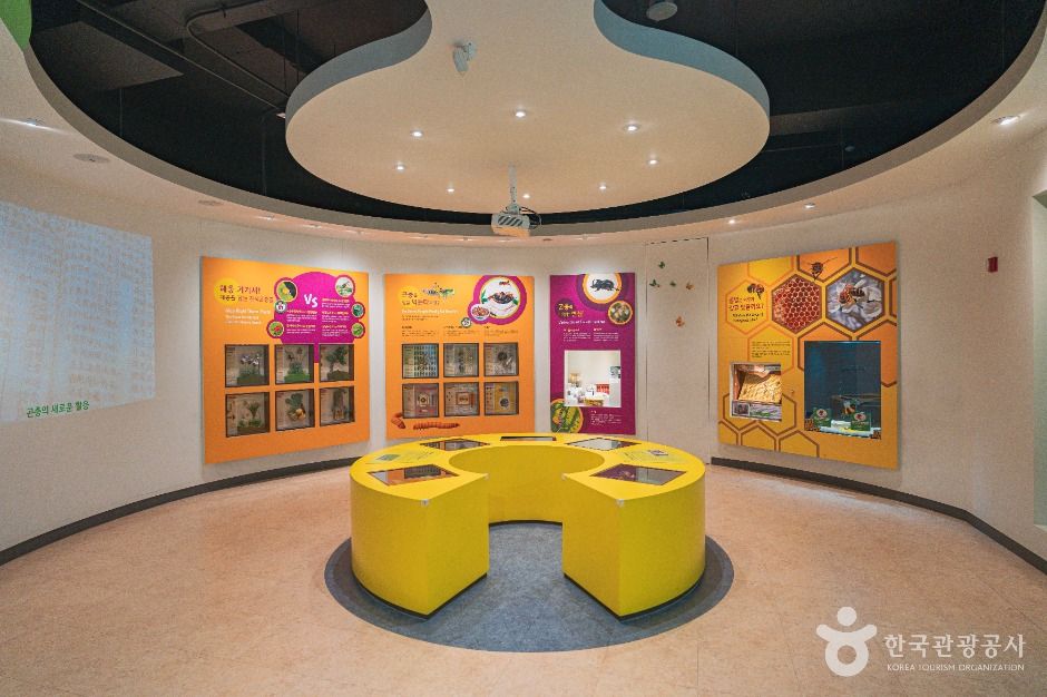 대전곤충생태관 이미지 3