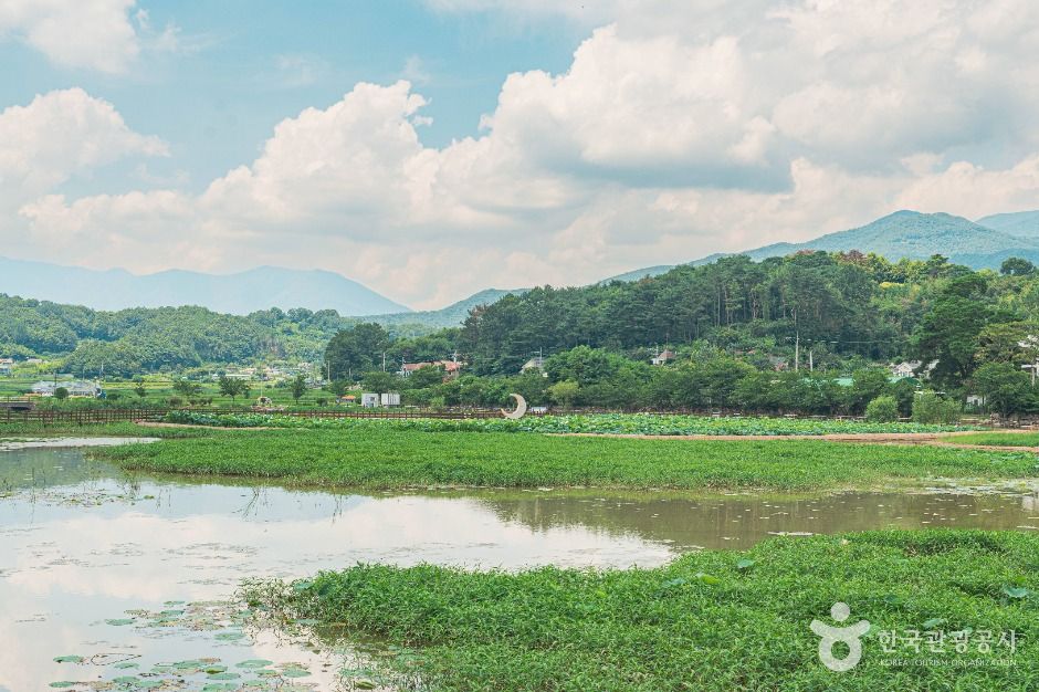 불고기 팜 농어촌 테마공원 이미지 6