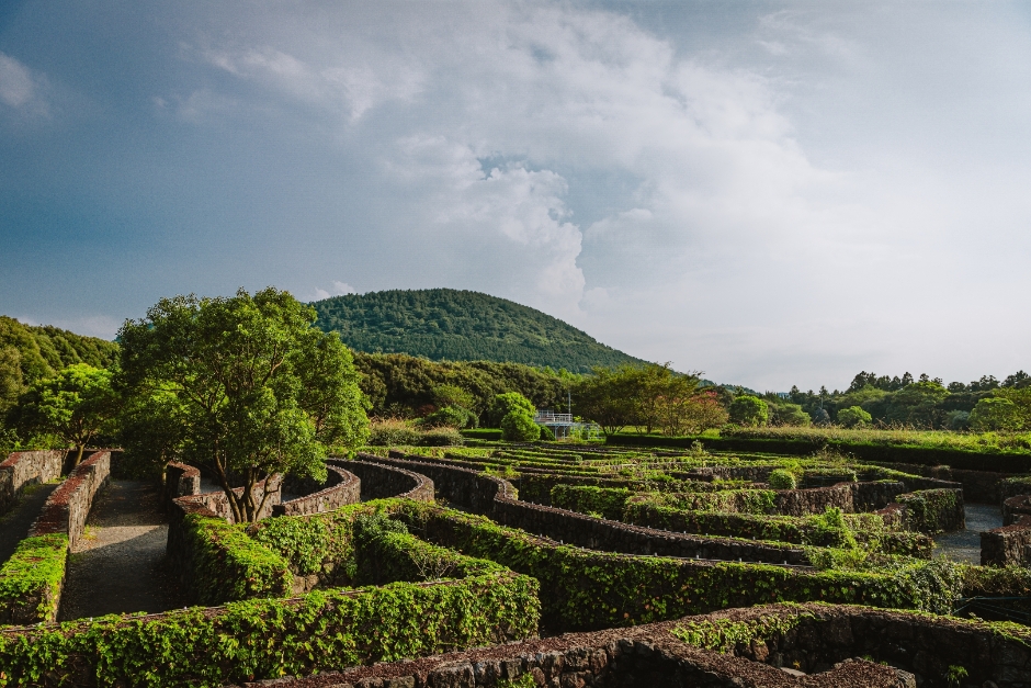 제주 메이즈랜드 이미지 6