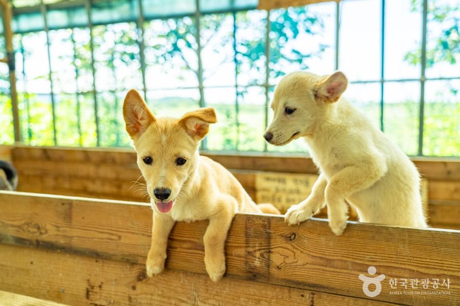자연아놀자 체험학습박물관 이미지 4