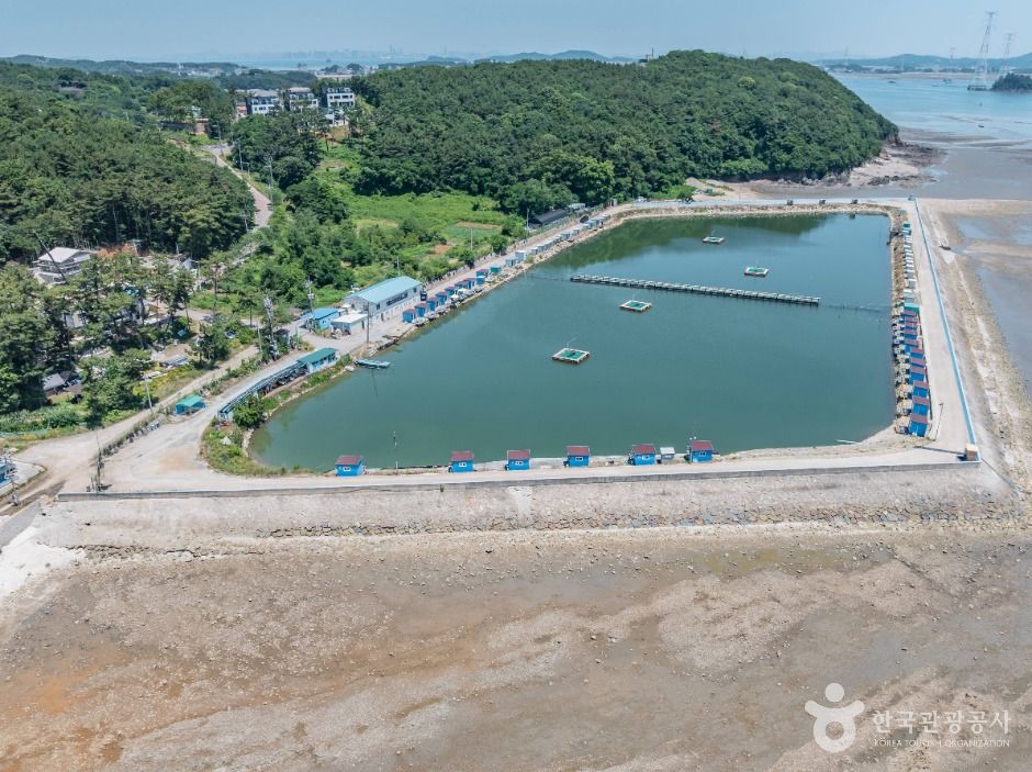 용담바다낚시터 이미지 6